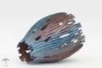 woodturned art by Robbie Graham